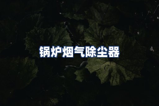 锅炉烟气除尘器